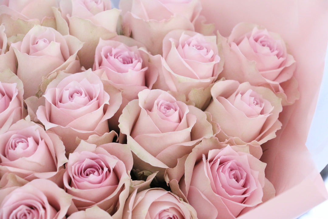 22本のピンク色のバラの花束-あなたの幸運を祈ります