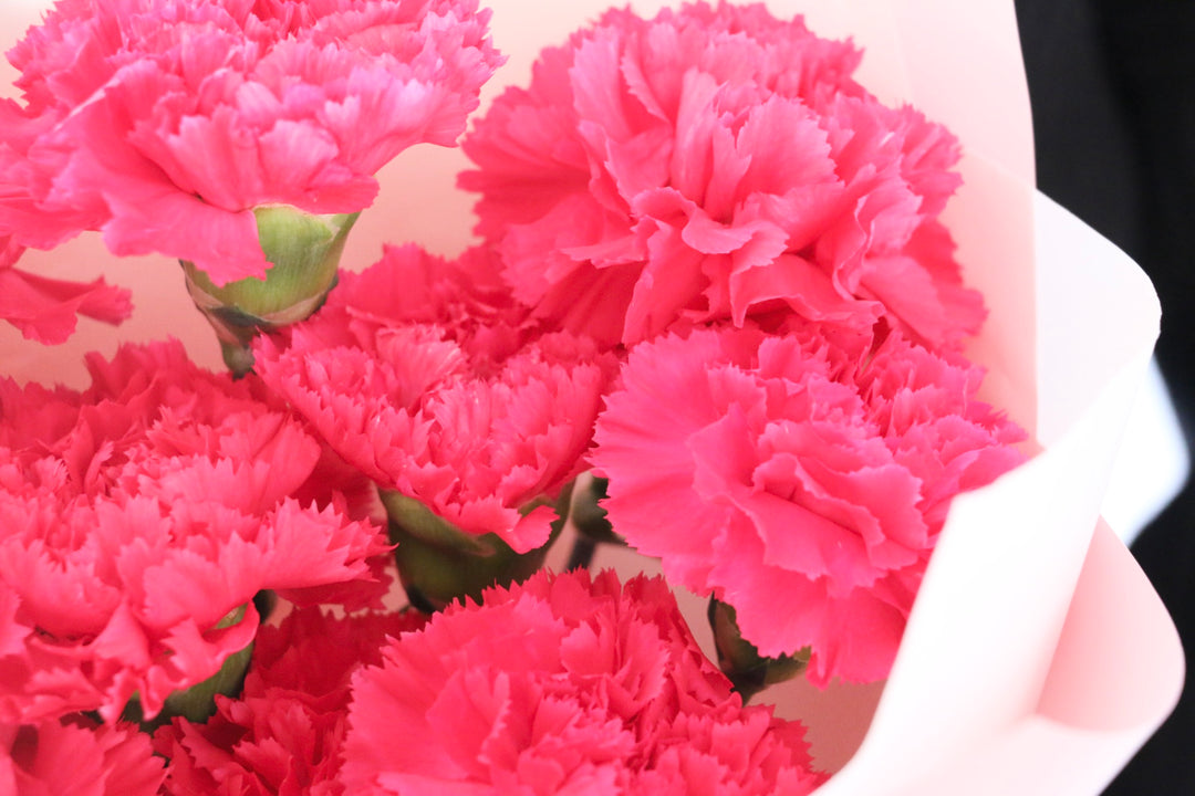 濃いピンクのカーネーションの花束（10本）