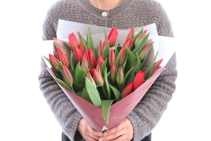 赤いチューリップの花束（30本）