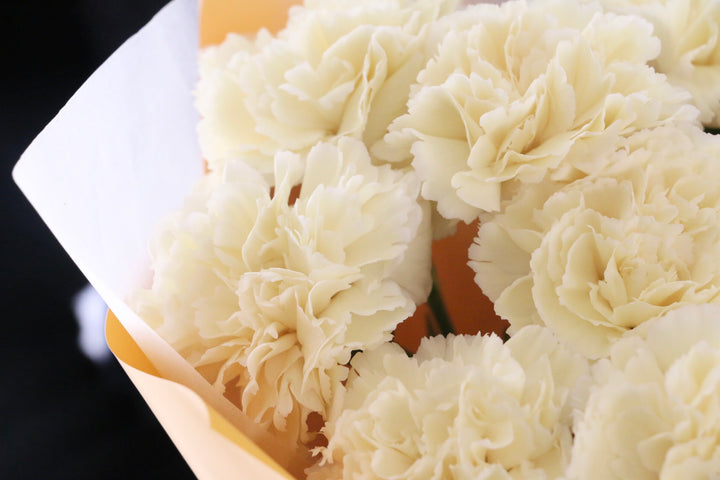 淡い黄色のカーネーションの花束（9本）-いつまでも一緒にいてください