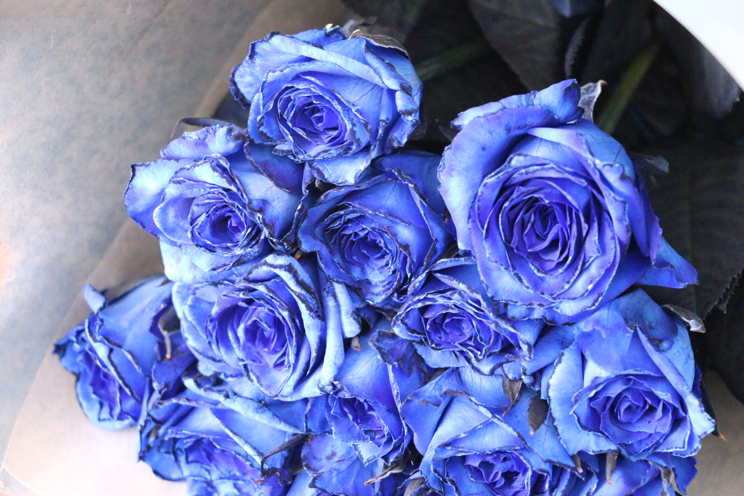 14本の青いバラの花束-誇りに思います