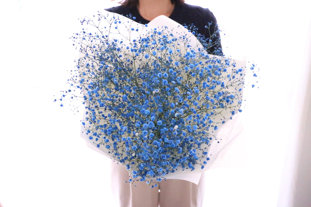 青のカスミソウ（かすみ草）の花束 3,500円