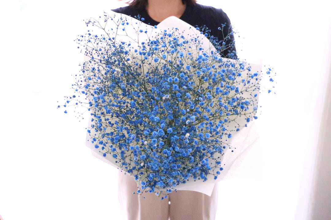 青のカスミソウ（かすみ草）の花束 3,500円