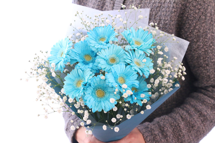 水色のガーベラ（10本）とカスミソウの花束