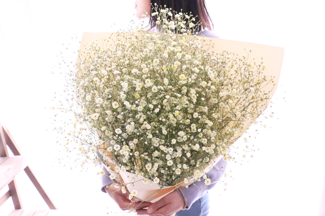 黄色のカスミソウ（かすみ草）の花束 10,000円 2Lサイズ