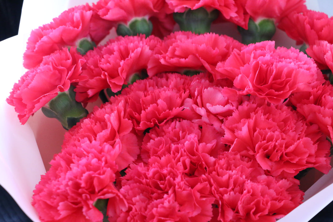 濃いピンクのカーネーションの花束（20本）
