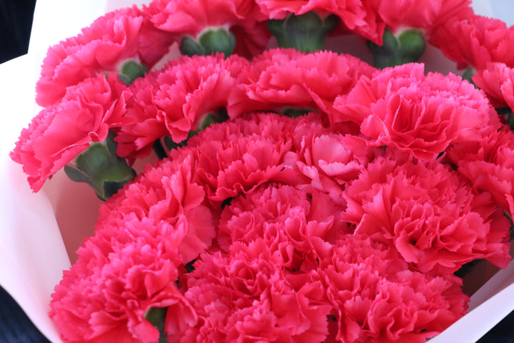 濃いピンクのカーネーションの花束（20本）
