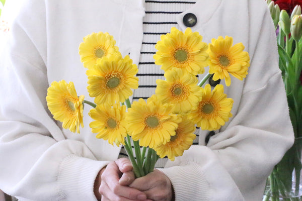 黄色のガーベラの花束（10本）
