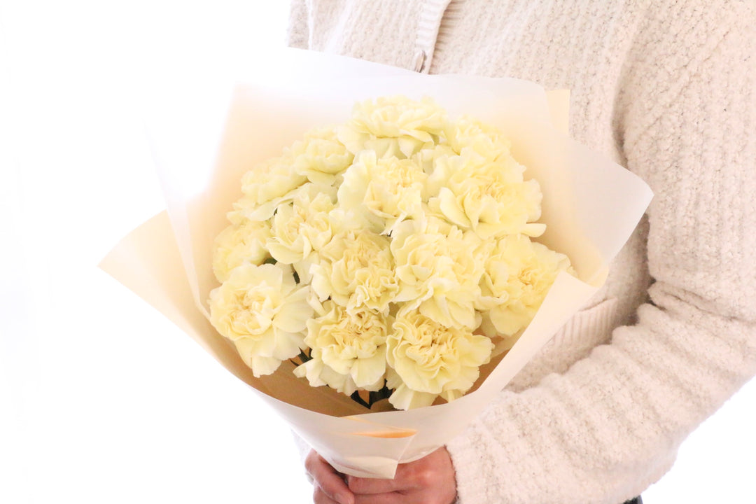 淡い黄色のカーネーションの花束（14本）