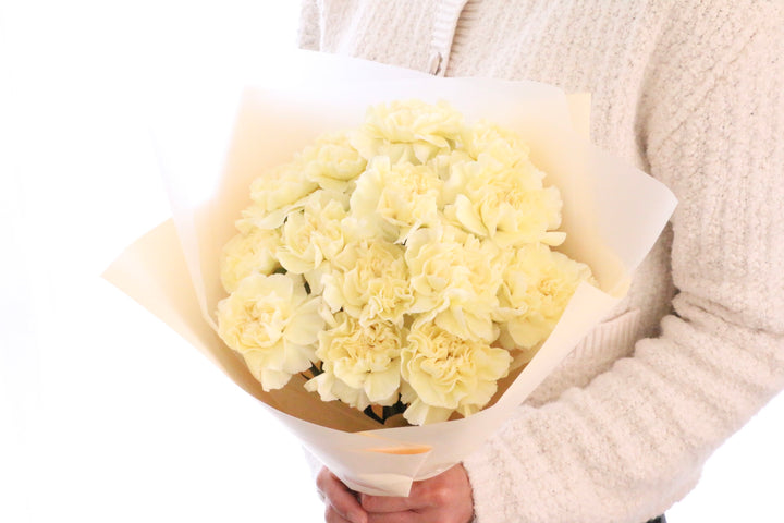 淡い黄色のカーネーションの花束（14本）