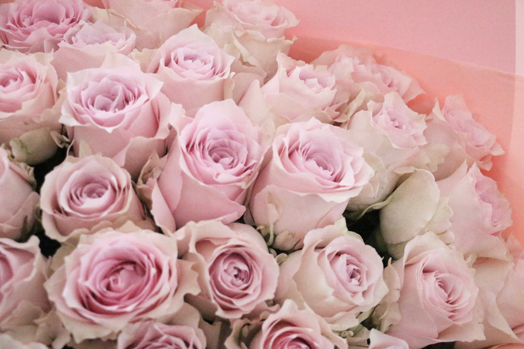 35本のピンク色のバラの花束