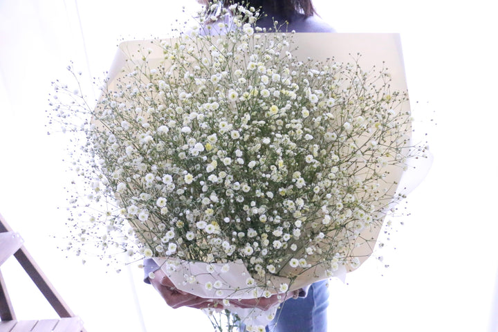 黄色のカスミソウ（かすみ草）の花束 8,000円 Lサイズ