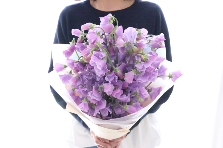 紫色のスイートピーの花束（40本）