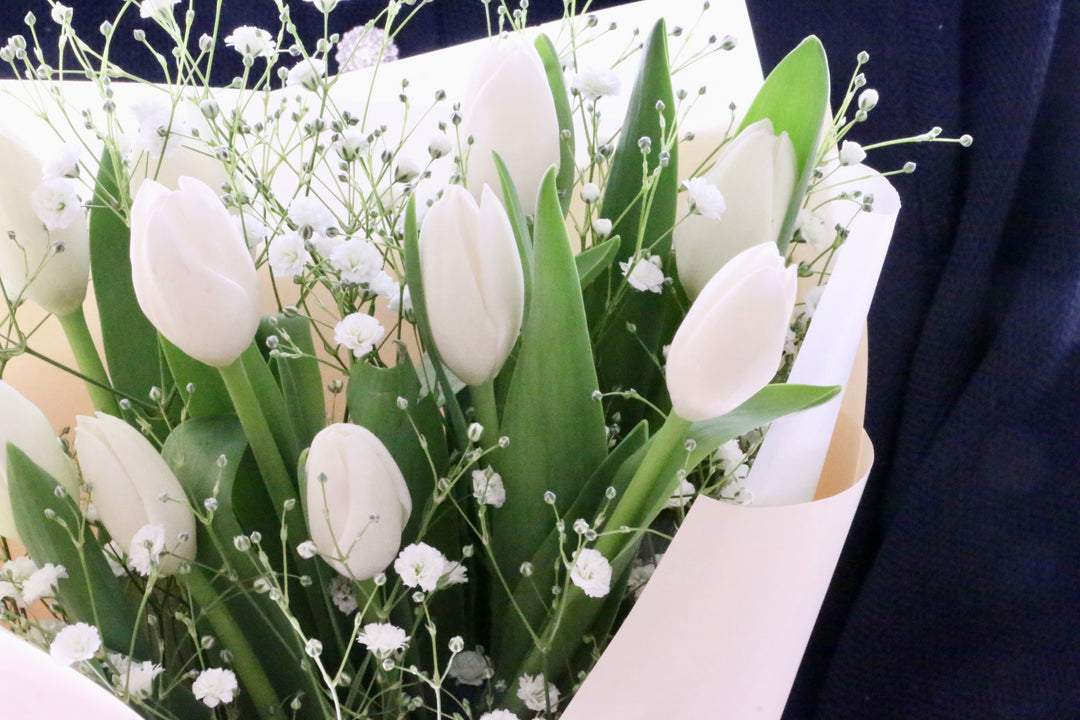 白のチューリップ（10本）とカスミソウの花束