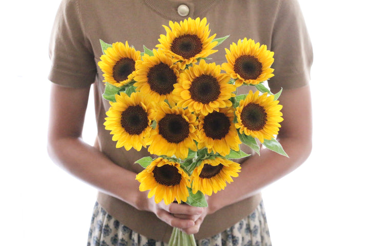 【プロポーズ】ひまわりの花束（11本）
