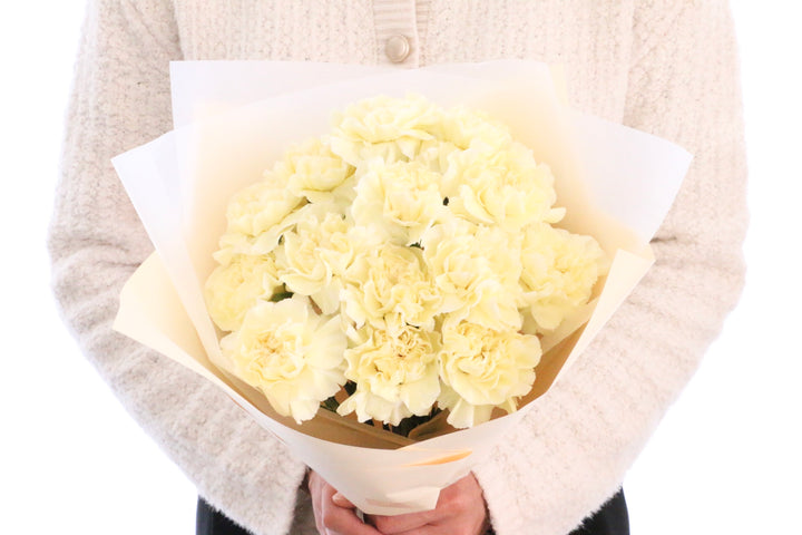 淡い黄色のカーネーションの花束（14本）