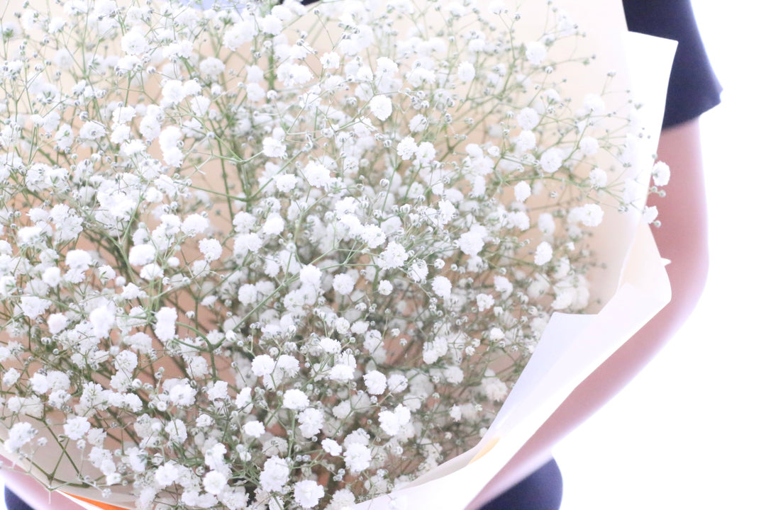 カスミソウの花束 3,500円
