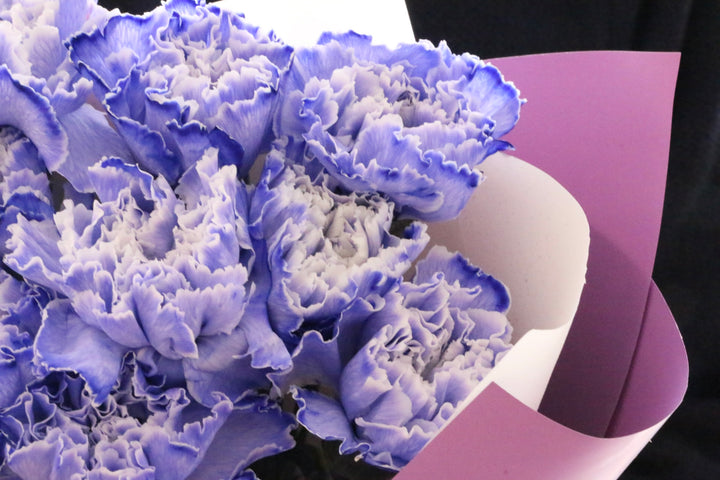 紫のカーネーションの花束（10本）