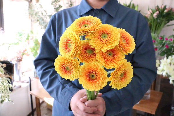 オレンジ色のガーベラの花束（10本）