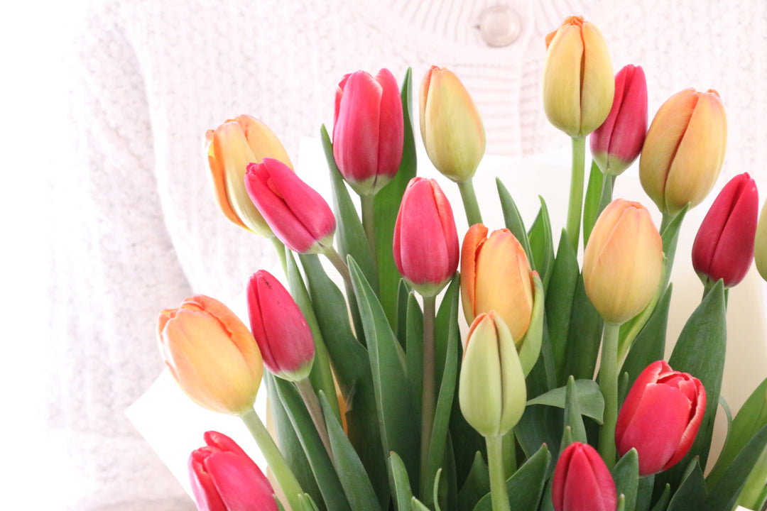 【2色MIX】チューリップの花束（20本）