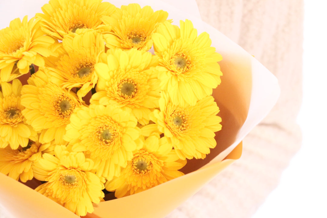 黄色のガーベラの花束（14本）-誇りに思います