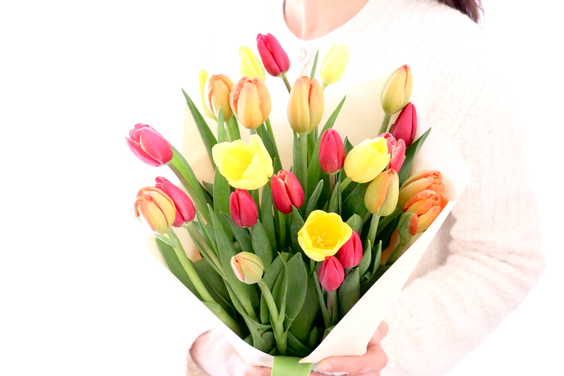 3色MIX】チューリップの花束（25本） – 花・花束の通販サイト｜HanaTaku
