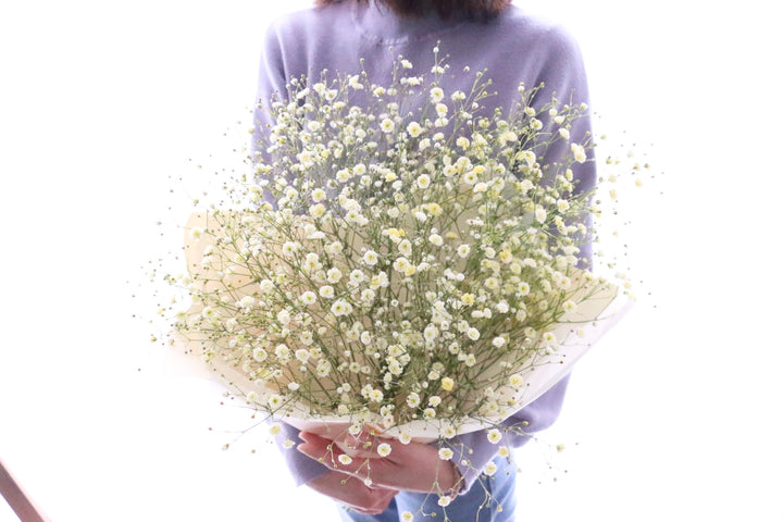 黄色のカスミソウ（かすみ草）の花束 3,500円 Sサイズ
