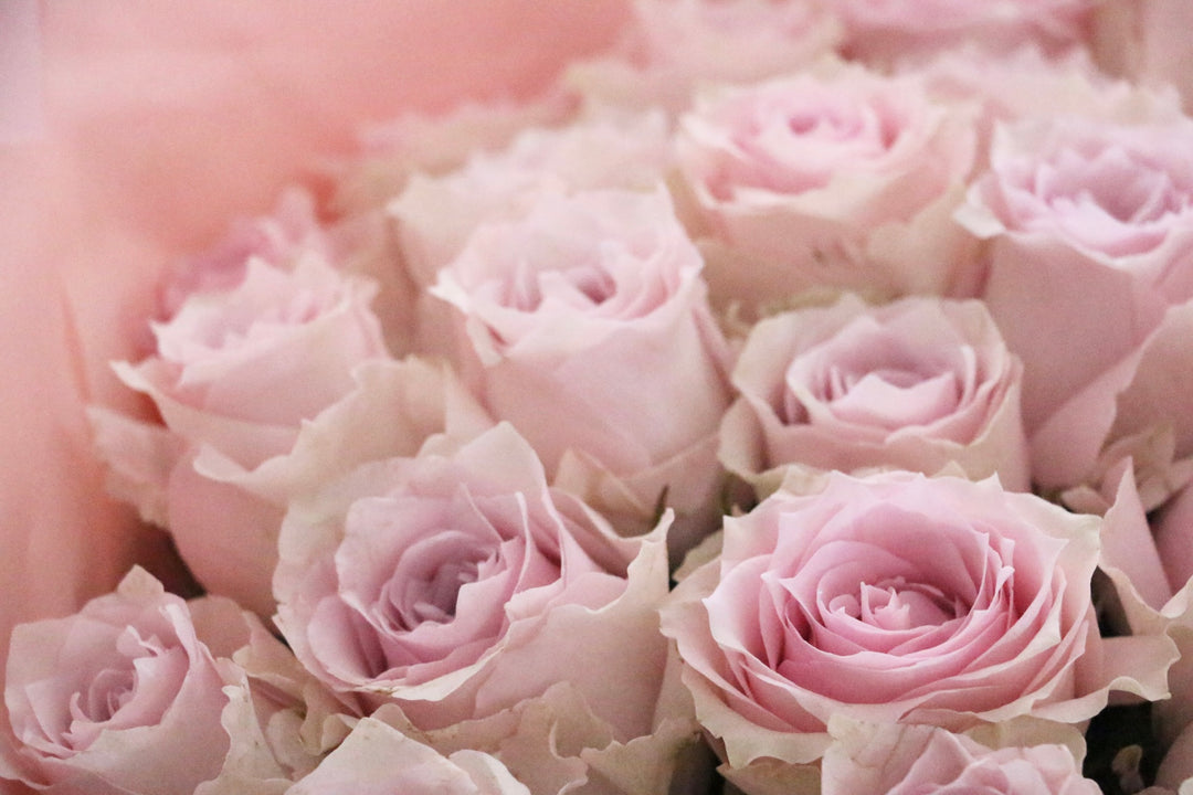 32本のピンク色のバラの花束