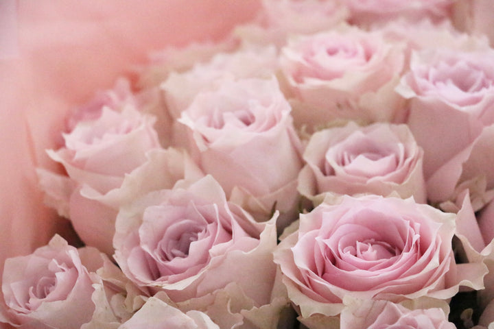 32本のピンク色のバラの花束
