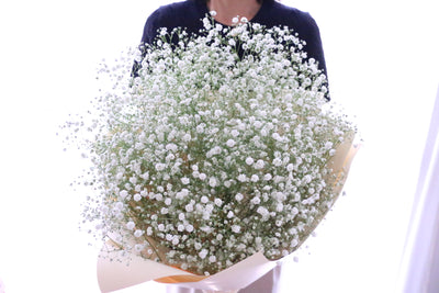 カスミソウ（かすみ草）の花束 8,000円