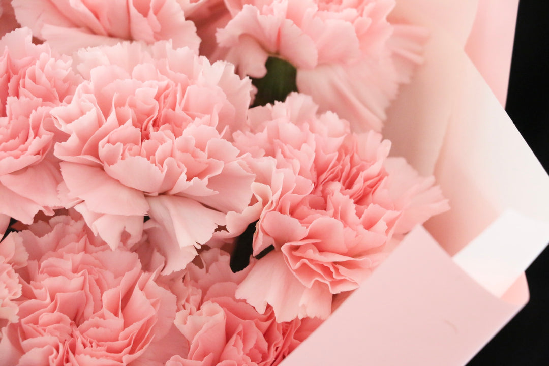 ピンクのカーネーションの花束（10本）