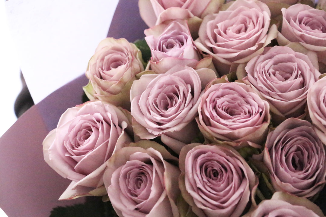 紫色のバラの花束（20本）