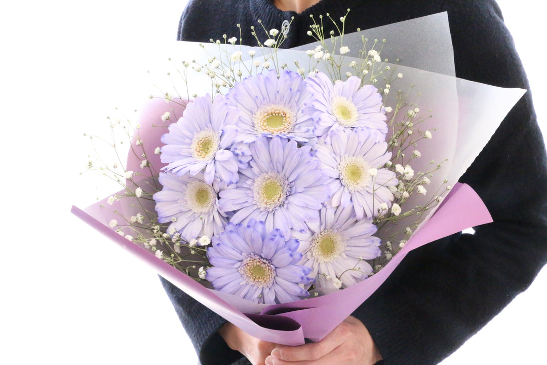 紫色のガーベラ（8本）とカスミソウの花束
