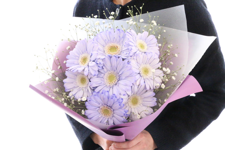 紫色のガーベラ（8本）とカスミソウの花束