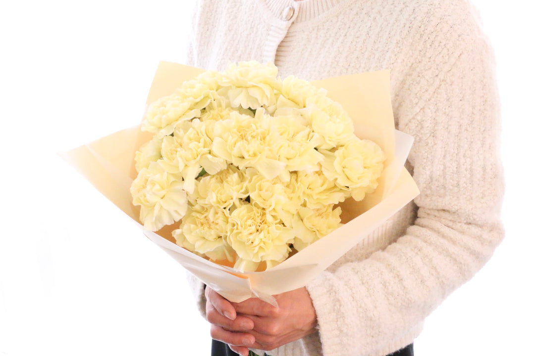 淡い黄色のカーネーションの花束（18本）
