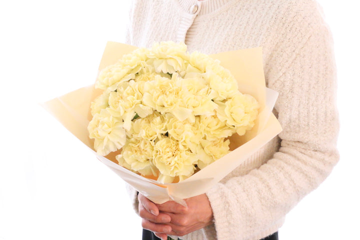 淡い黄色のカーネーションの花束（18本）