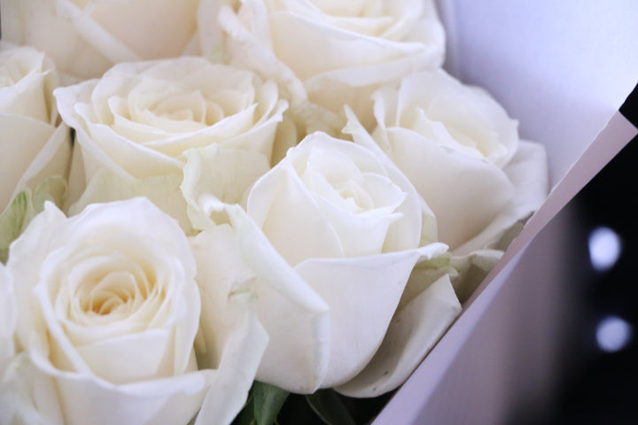 11本の白色バラの花束-最愛