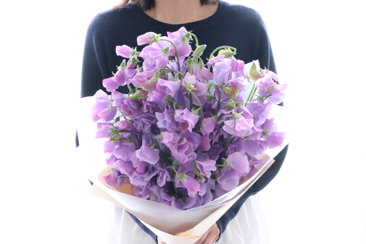 紫色のスイートピーの花束（50本）