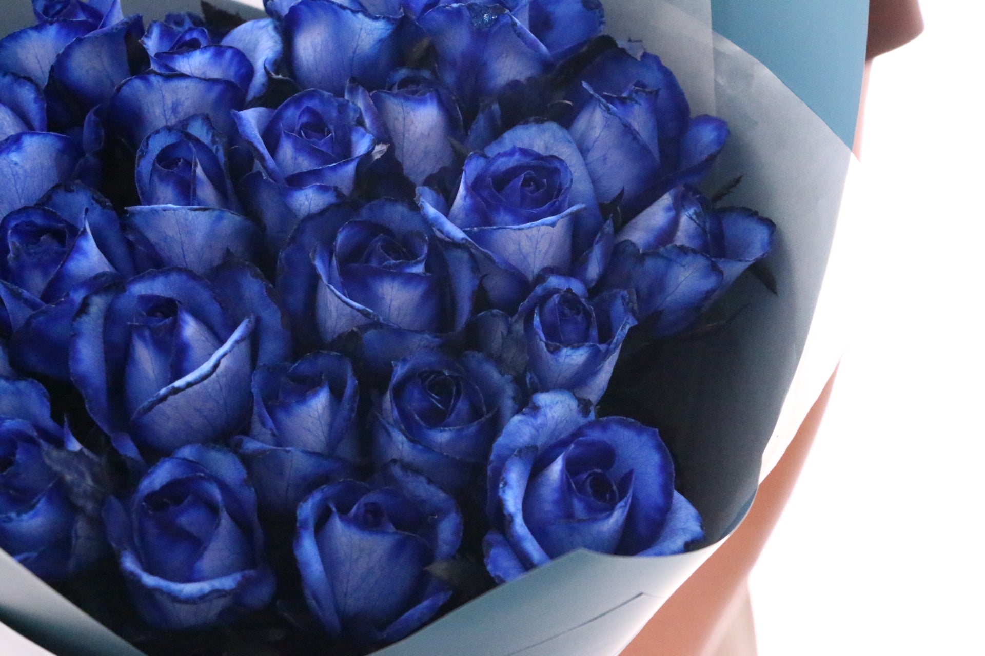 国産】22本の青いバラの花束-あなたの幸運を祈ります – 花・花束の通販