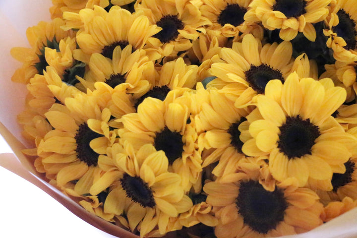 ひまわりの花束（80本）