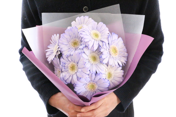 紫色のガーベラの花束（10本）