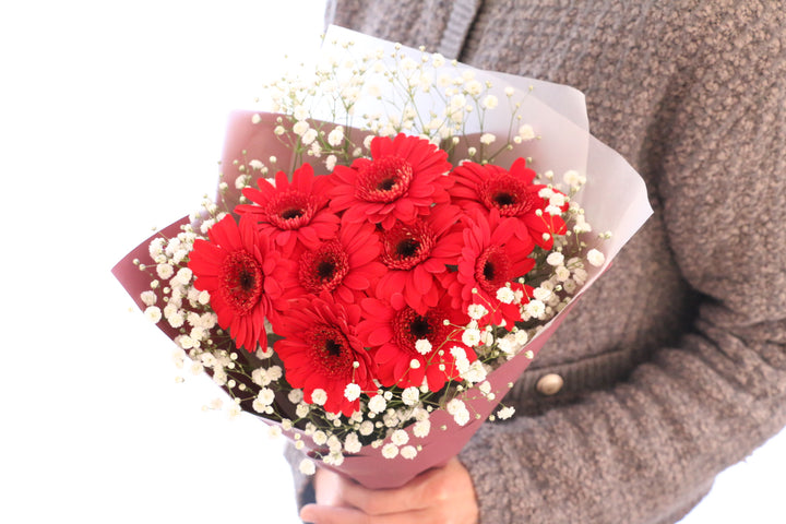 赤色のガーベラ（9本）とカスミソウの花束-いつまでも一緒にいてください
