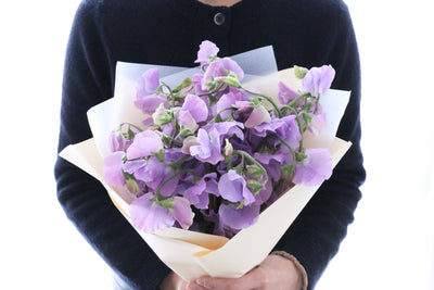紫のスイートピーの花束（25本）