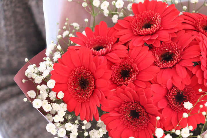 赤色のガーベラ（9本）とカスミソウの花束-いつまでも一緒にいてください
