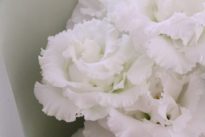 白いトルコキキョウの花束（4本）