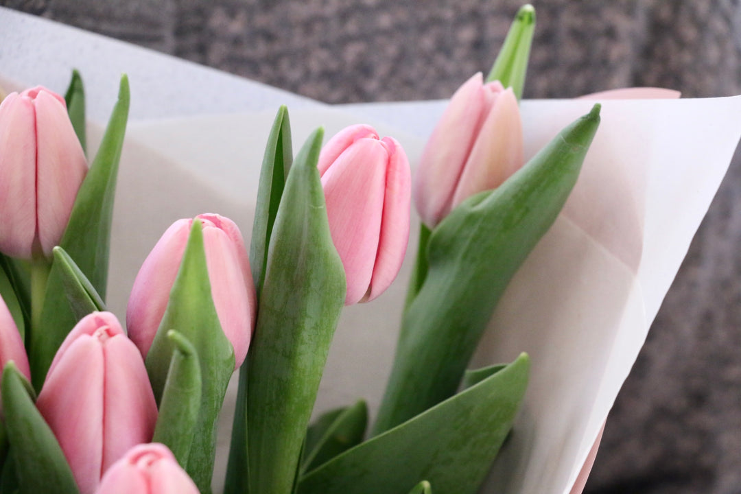 ピンクのチューリップの花束（10本）