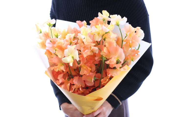 オレンジ色のスイートピーの花束（25本）