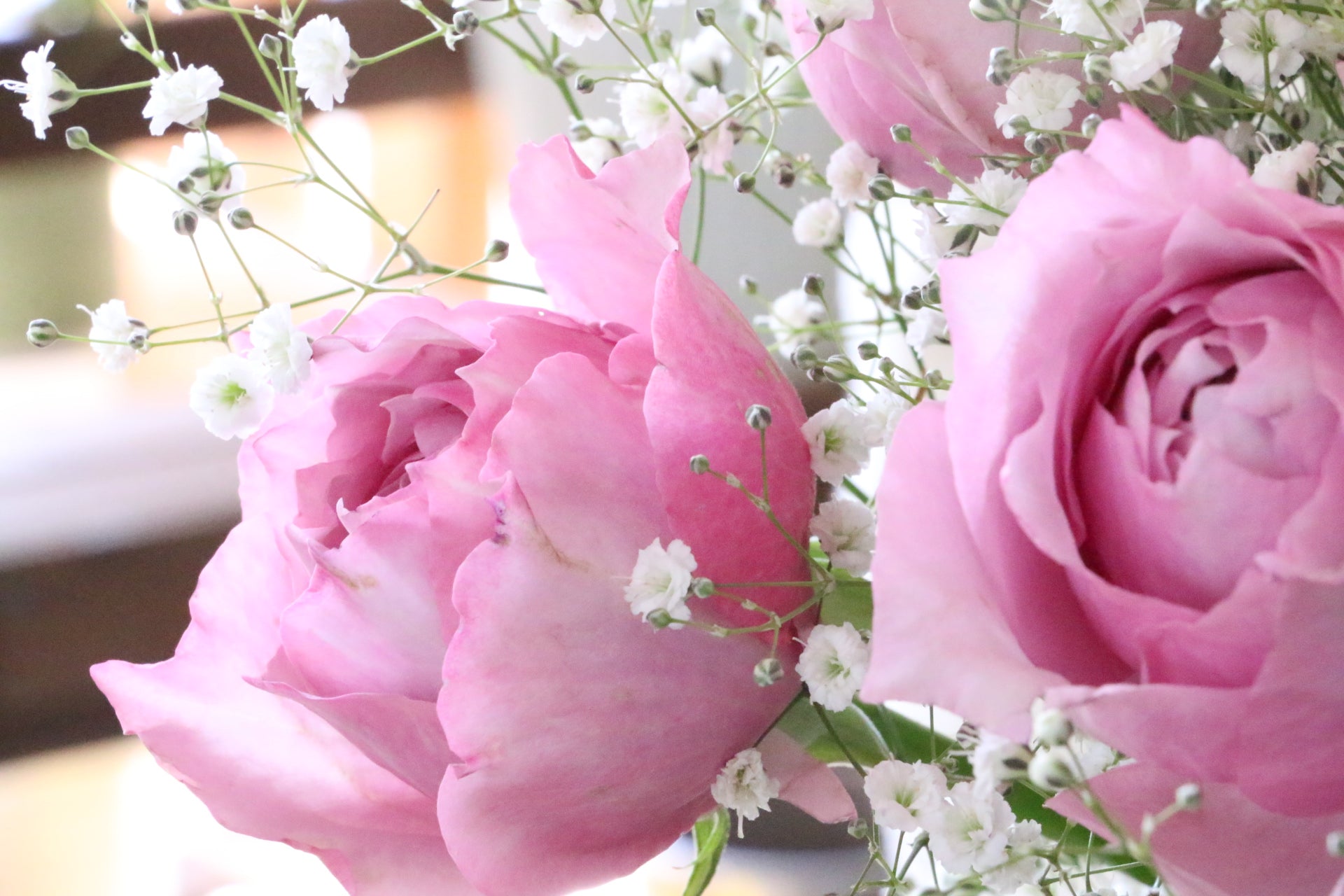 紫色のバラ（8本）とカスミソウ（3本）の花束 7,000円 – 花・花束の