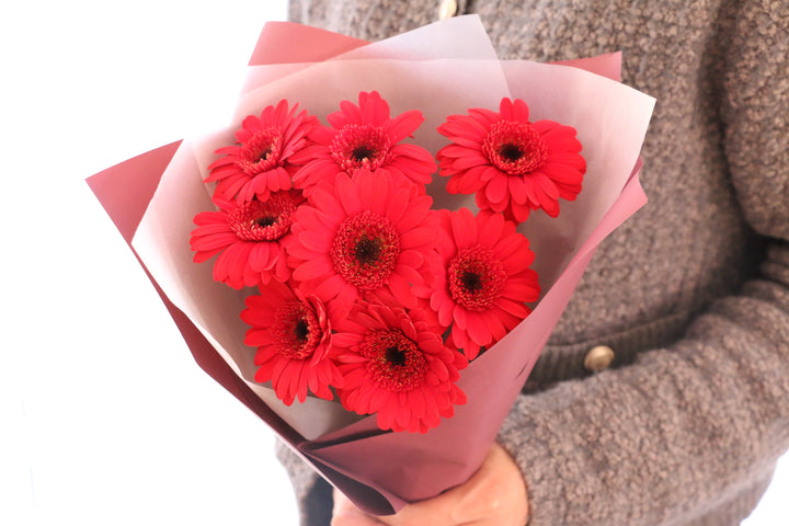赤色のガーベラの花束（8本）-あなたの思いやりに感謝します
