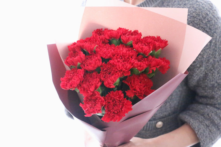 赤色のカーネーションの花束（20本）